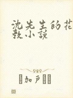 沈先生的花式调教小说