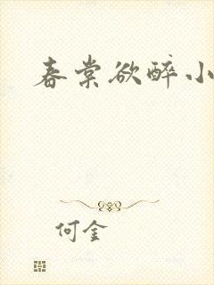 春棠欲醉小说封面
