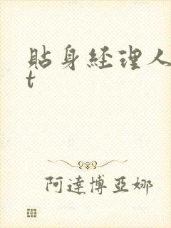 贴身经理人txt