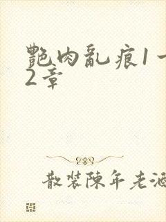 艳肉乱痕1一12章