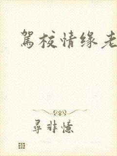 驾校情缘老赵