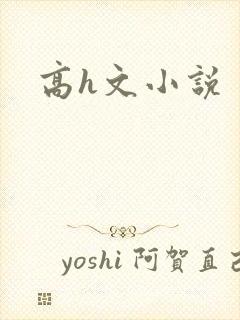 高h文小说