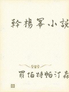 干杨幂小说