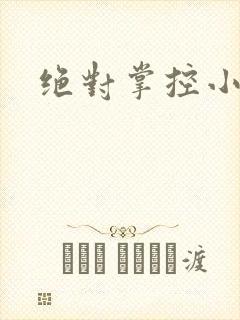 绝对掌控小说