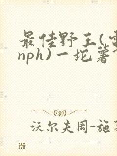 最佳野王(电竞nph)一坨薯饼