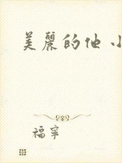 美丽的他 小说