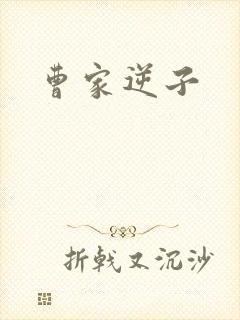 曹家逆子