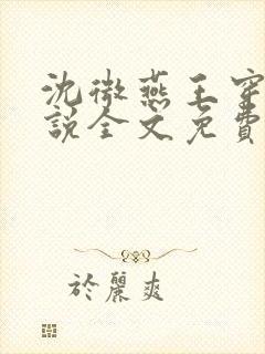 沈微燕王穿越小说全文免费阅读封面