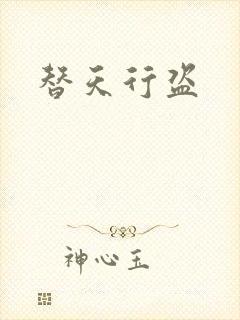 替天行盗