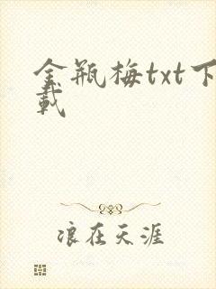 金瓶梅txt下载封面