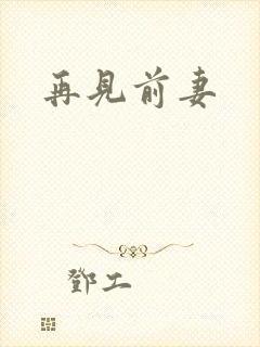 再见前妻