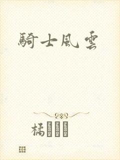 骑士风云