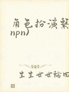 角色扮演系统(npn)
