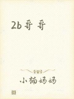2b哥哥封面