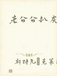 老公公扒灰小说