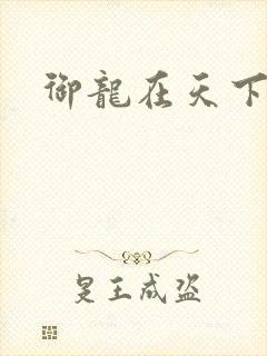 御龙在天下载