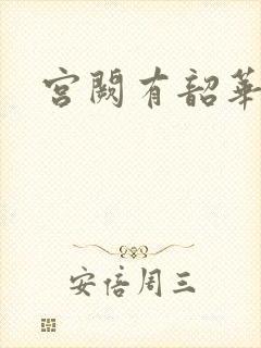 宫阙有韶华