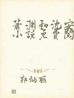 萧渊和沈安安的小说免费阅读封面