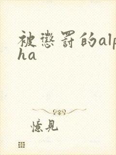 被惩罚的alpha