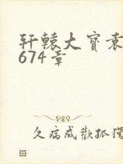 轩辕大宝袁雪妃674章封面