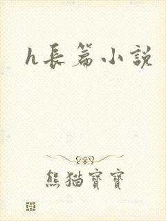 h长篇小说