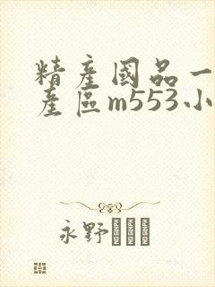 精产国品一二三产区m553小说封面