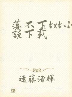 落不下txt小说下载
