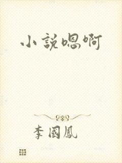 小说嗯啊