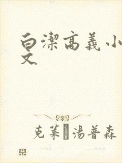 白洁高义小说全文