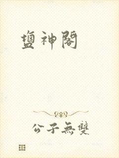 盐神阁封面