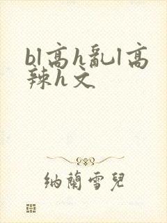 bl高h乱l高辣h文