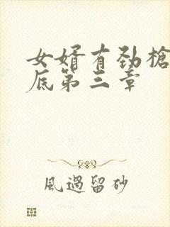 女婿有劲枪枪到底第三章