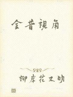 金昔视角封面