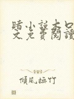 赌小说木口银全文免费阅读笔趣阁