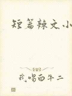 短篇辣文小说封面