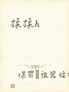 揉揉h