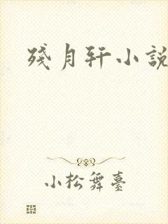 残月轩小说网