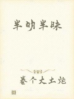 半明半昧