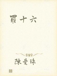 罗十六