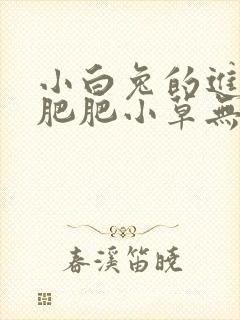 小白兔的进化史肥肥小草无防盗