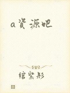 a资源吧