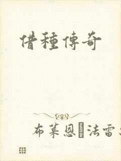 借种传奇封面