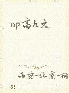 np高h文