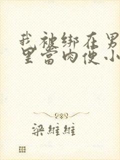 我被绑在男公厕里当肉便小说