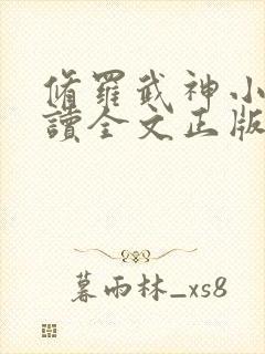 修罗武神小说阅读全文正版封面