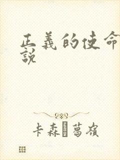 正义的使命 小说