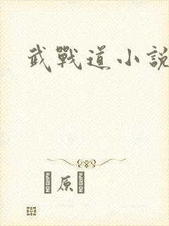 武战道小说