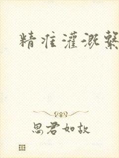 精准灌溉系统