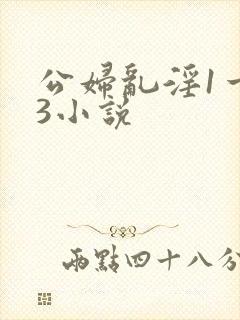 公妇乱淫1一13小说封面