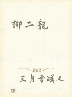 柳二龙